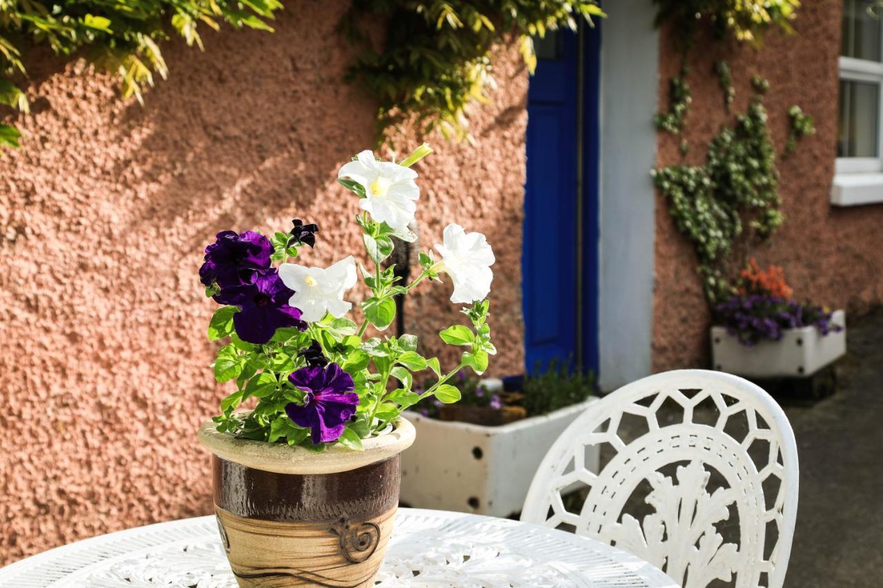 Wisteria Cottage Ballyconnell  Exterior photo
